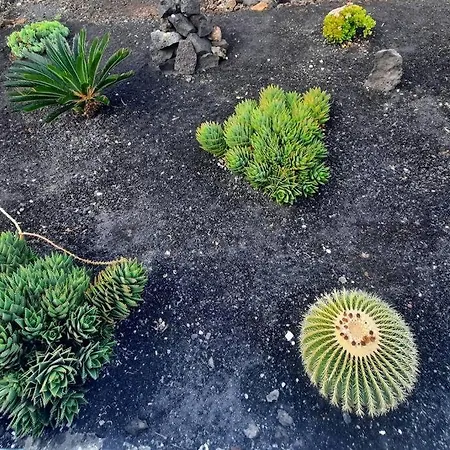 Casa Vista Mar. Appartement Tinajo