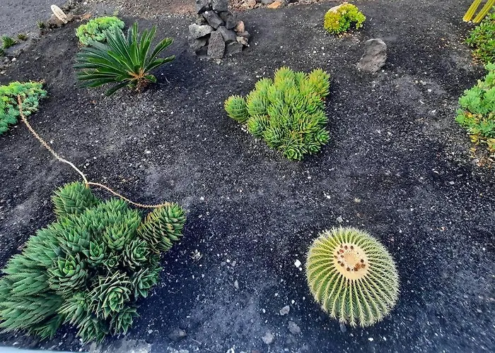 Casa Vista Mar. Apartamento Tinajo